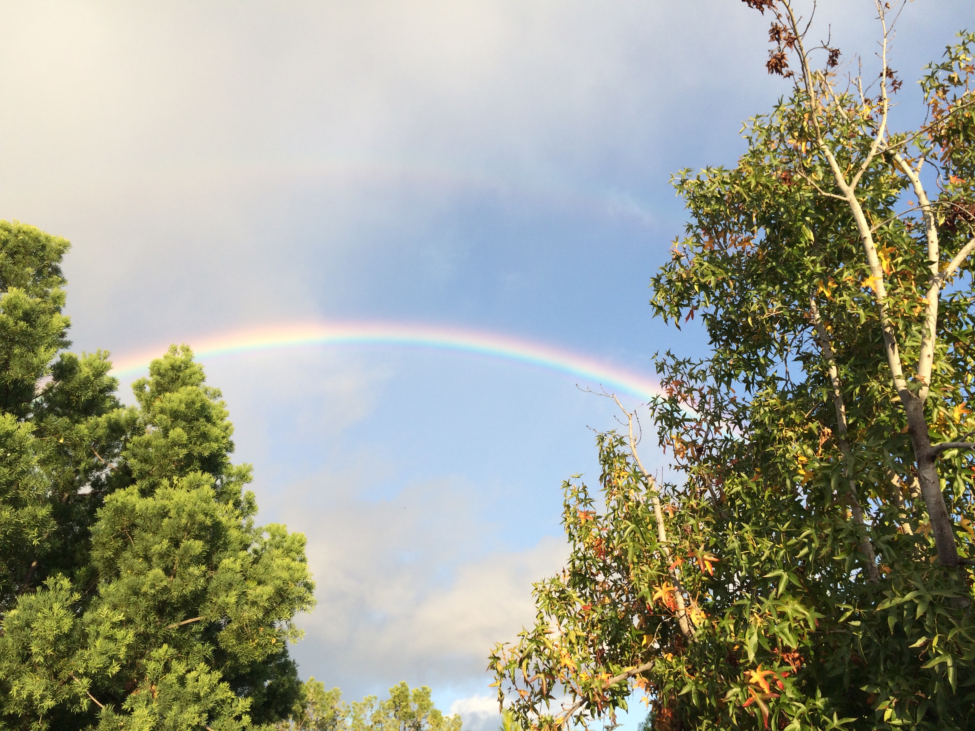rainbow in the front yard