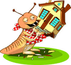 termite eating a house - cartoon
